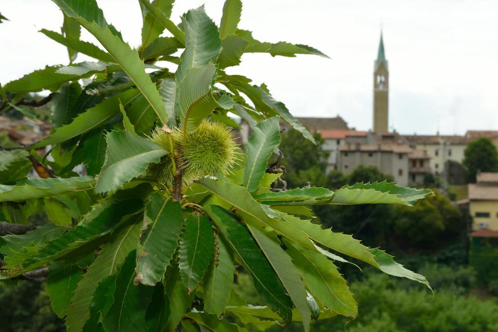 Agriturismo Crodi Miane Экстерьер фото